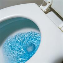 (image for) Sweet Lu | Toilet Water Blue - Click Image to Close