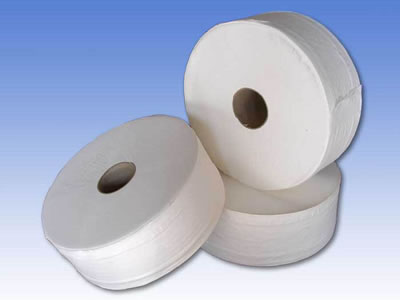 (image for) Jumbo Roll |Toilet Paper |Toilet Tissue|8 Rolls-2ply-300m|Virgin - Click Image to Close