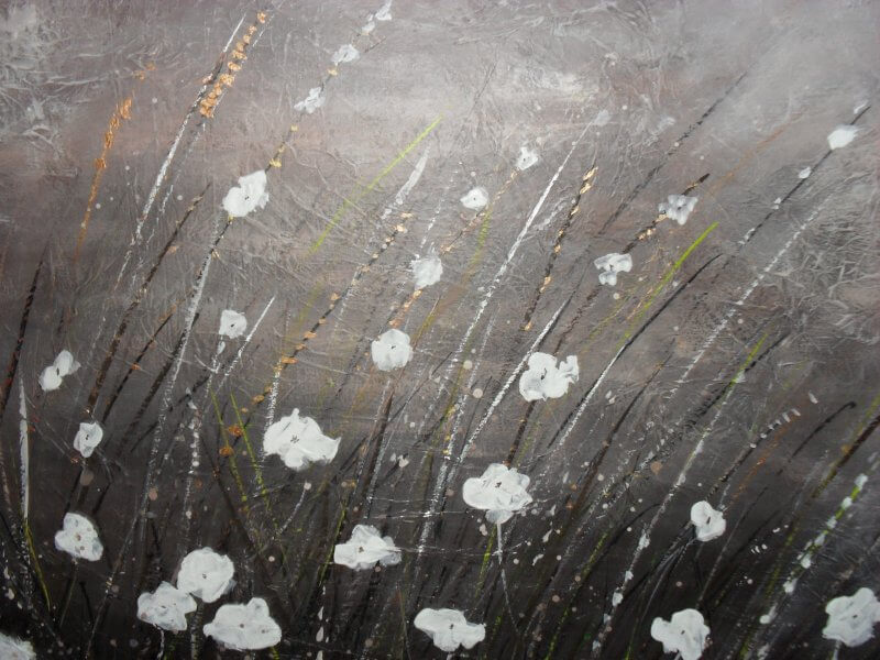 (image for) Misty Daisies
