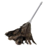 (image for) Feather Duster